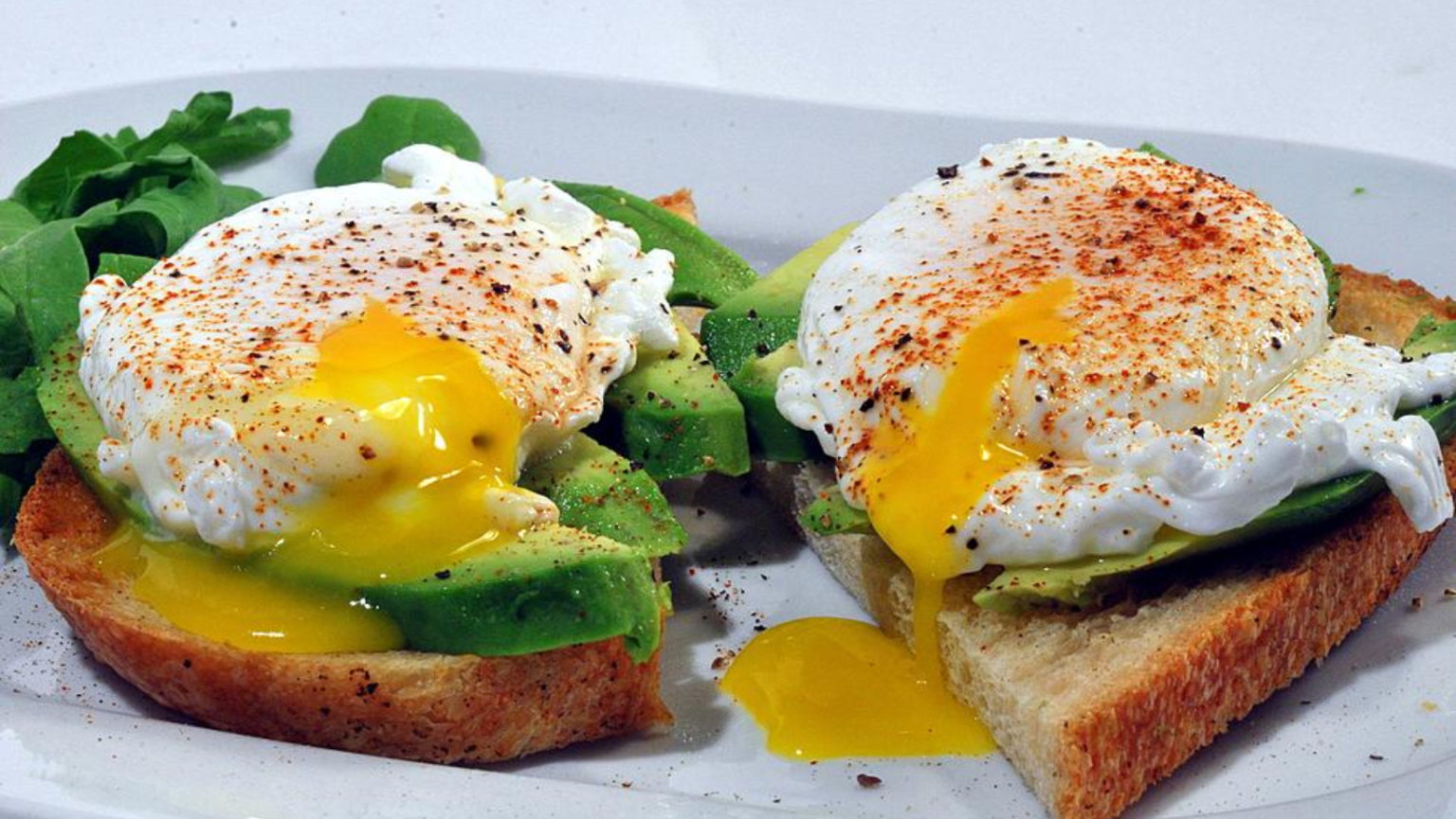 Best Breakfast Spots Chosen By You in Ocean County, New Jersey What's